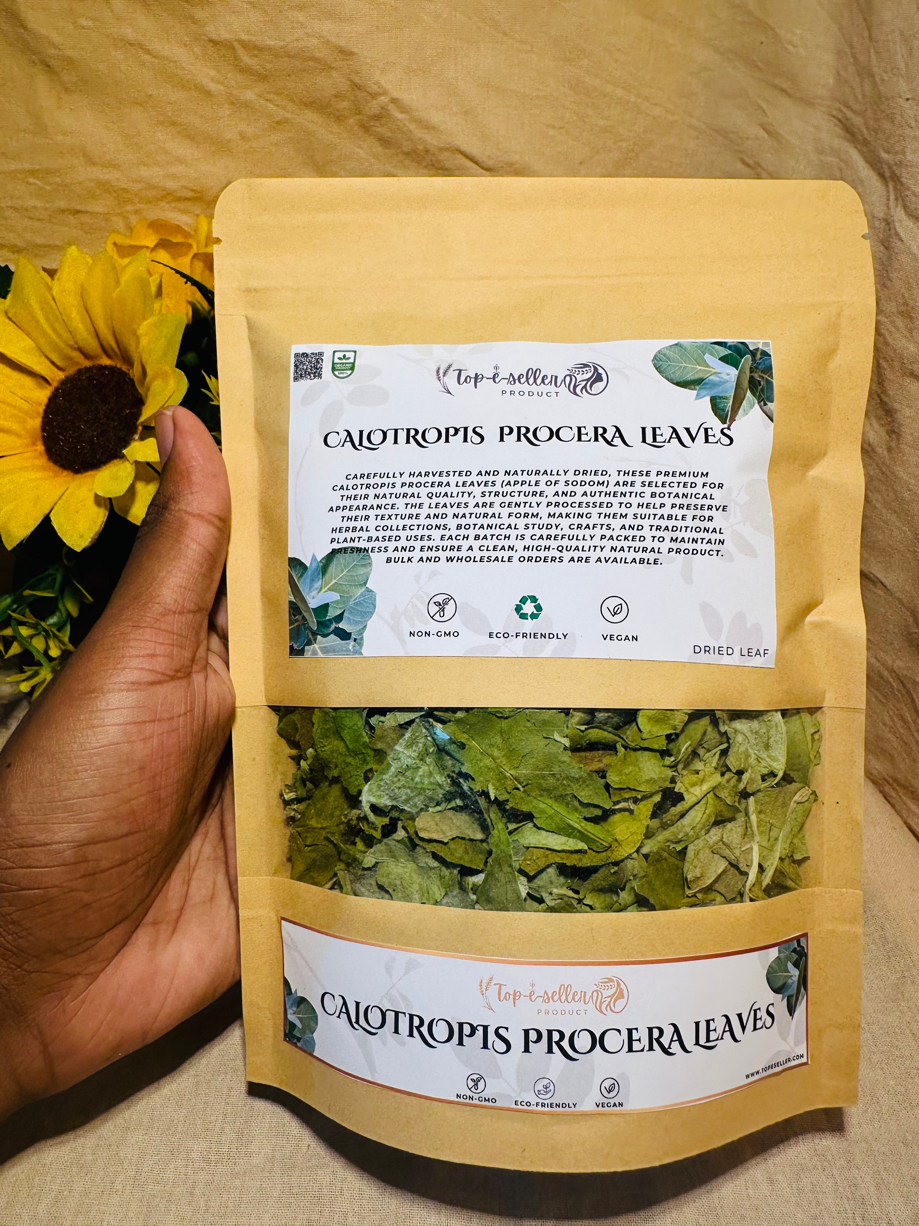 Jatropha Curcas Leaves – Premium Dried Ratanjot  Laljari Yatilung Jadi Herb